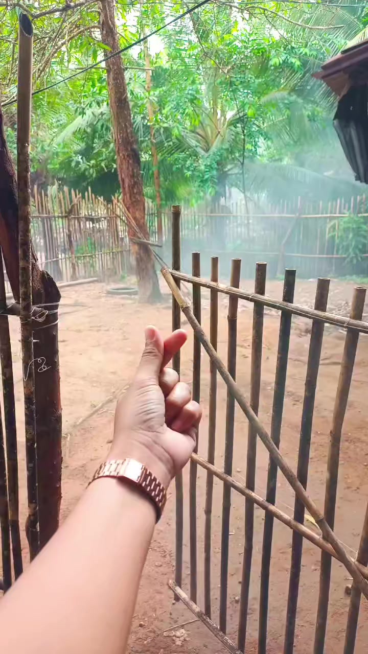 @JDy27