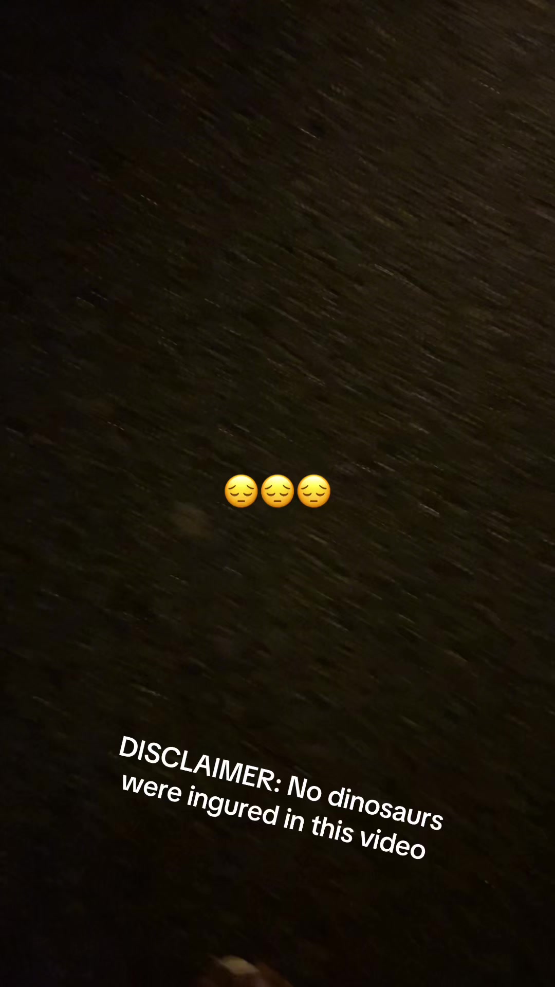 @Amber the weirdo 🤪😎