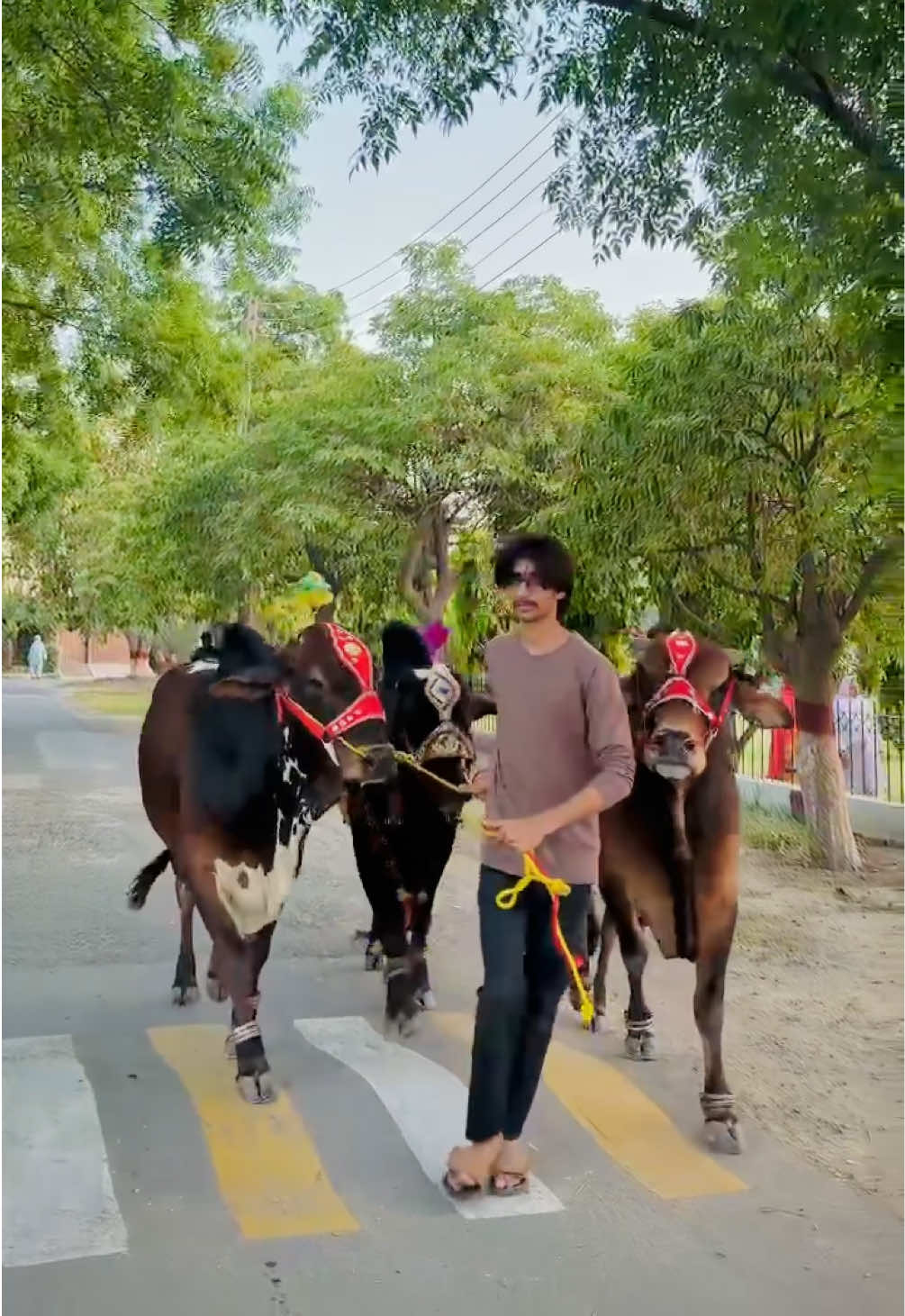 @𝓐𝓡𝓢 🚩