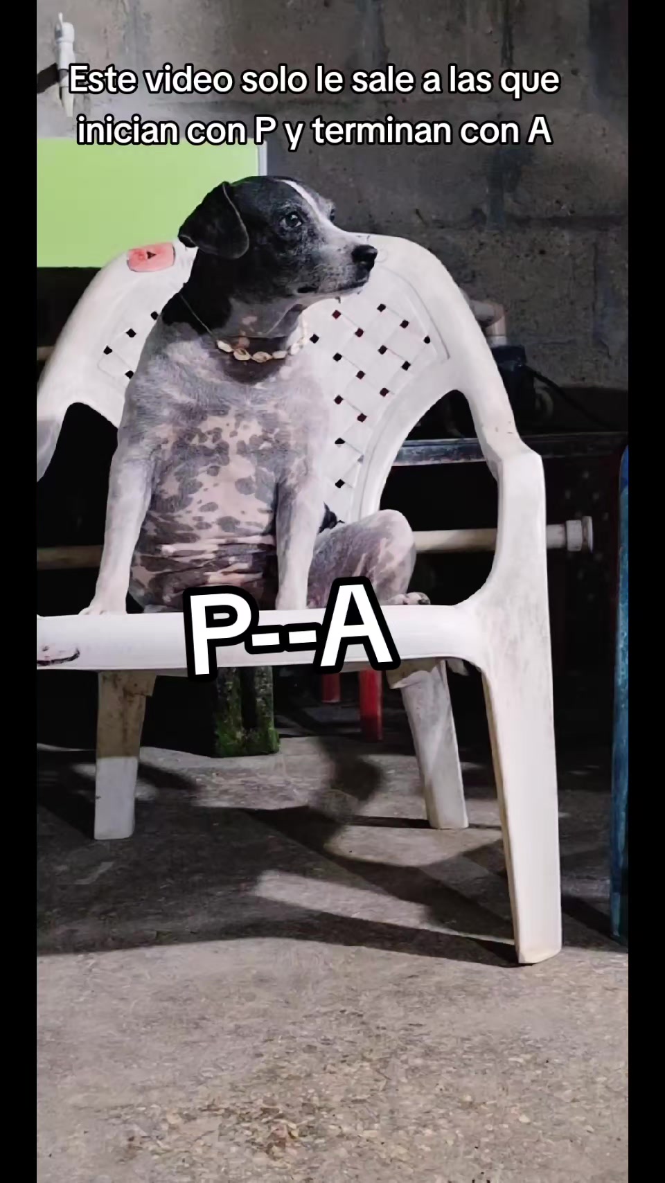 @MANCHAS 0714 OFICIAL