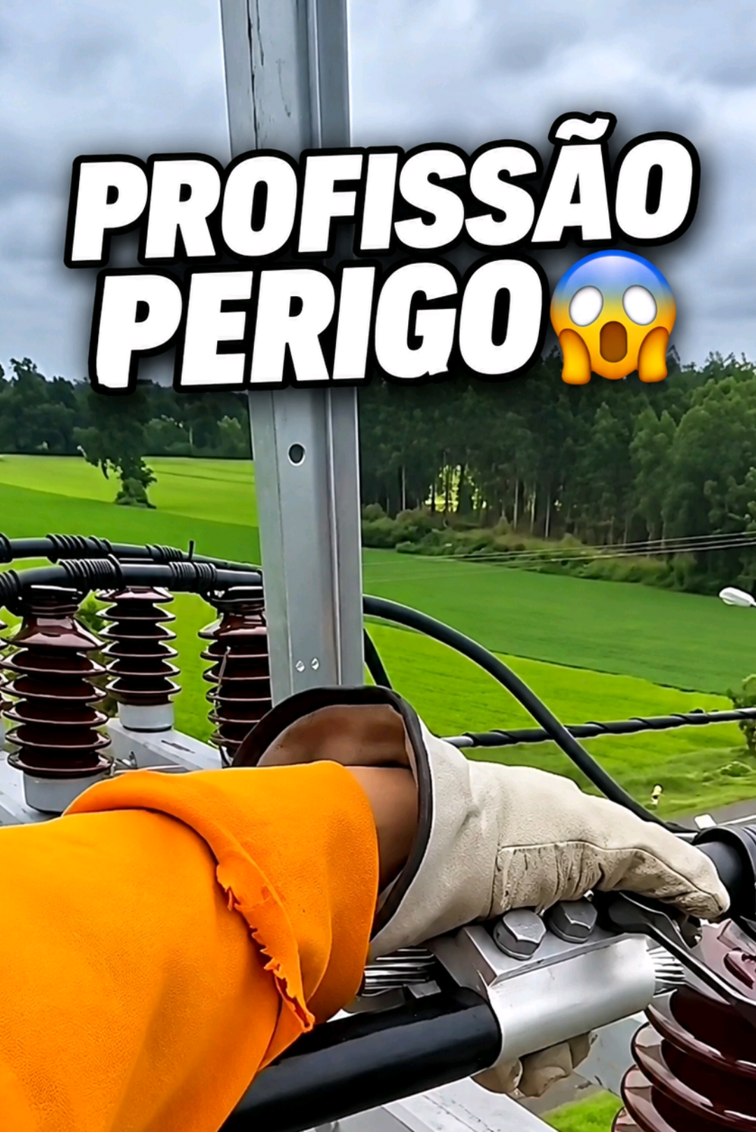 @RAIZ DO SABER