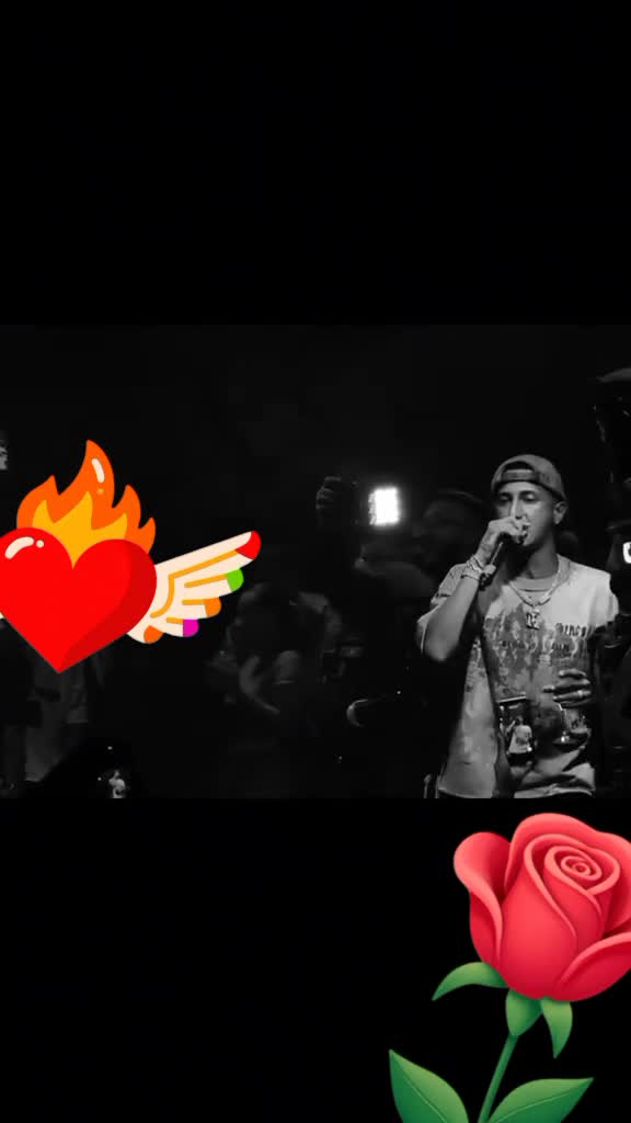 @456Elvis