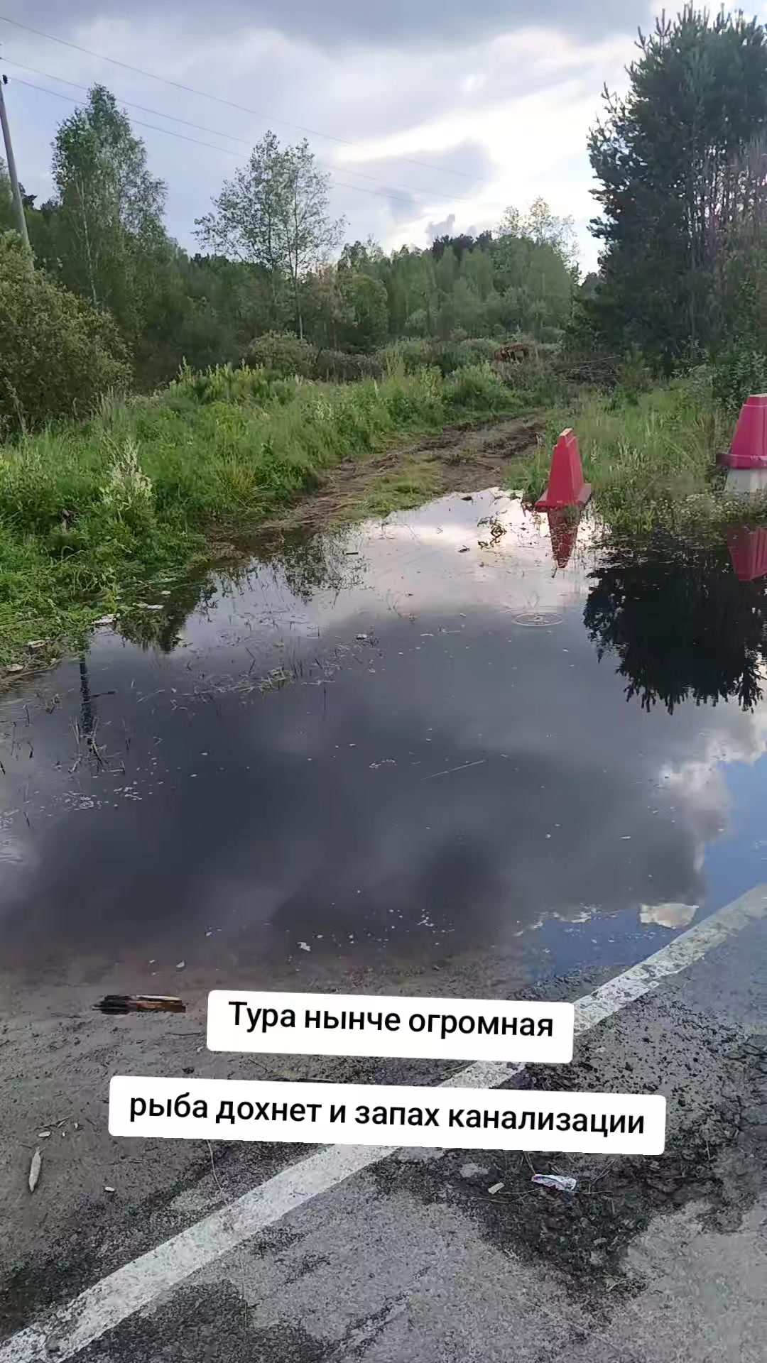 @Марина