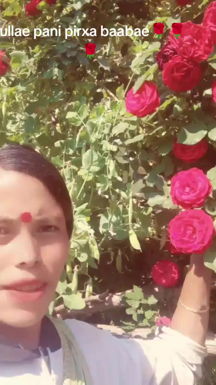 @Urmila Rokaya