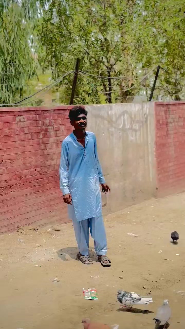 @عدیل رحمن لیہ وال کبوتر باز