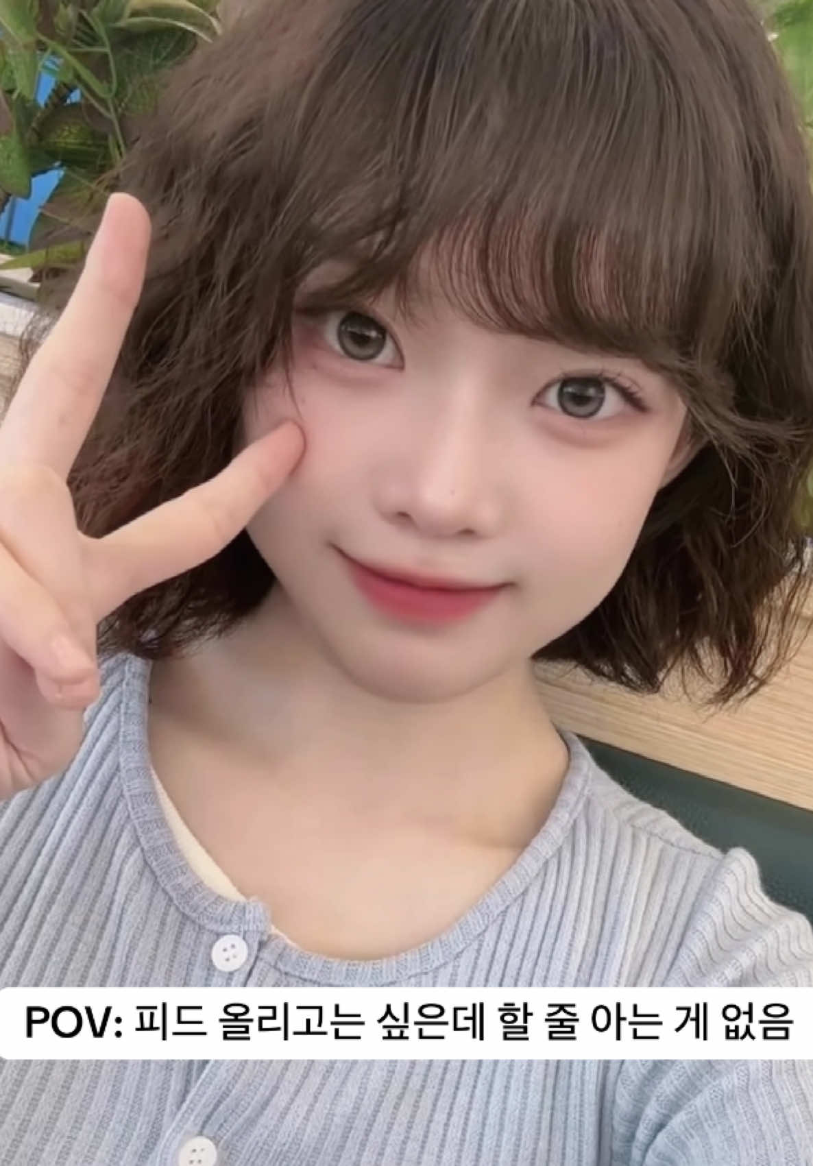 @🐢 썬포칩 Sunpochip 🍟