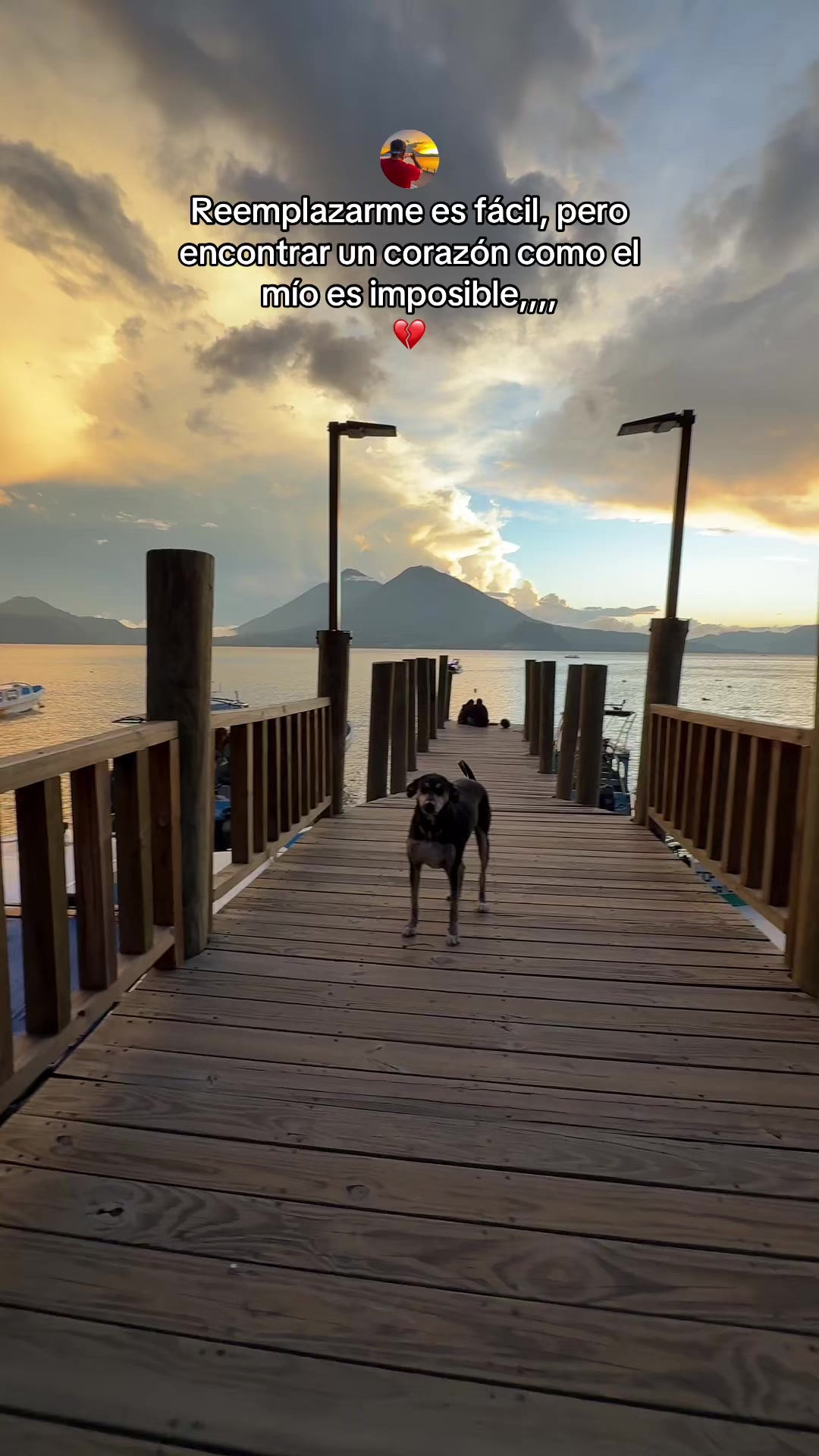 @R.Julio León 🦁 🐝