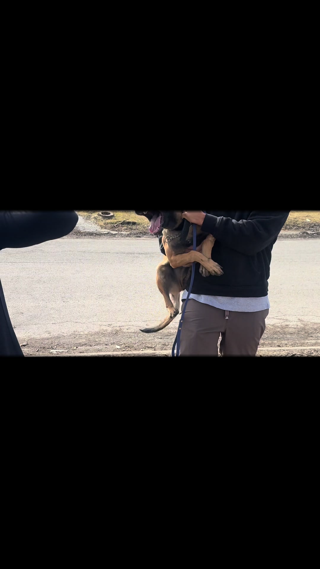 @Boss Canine