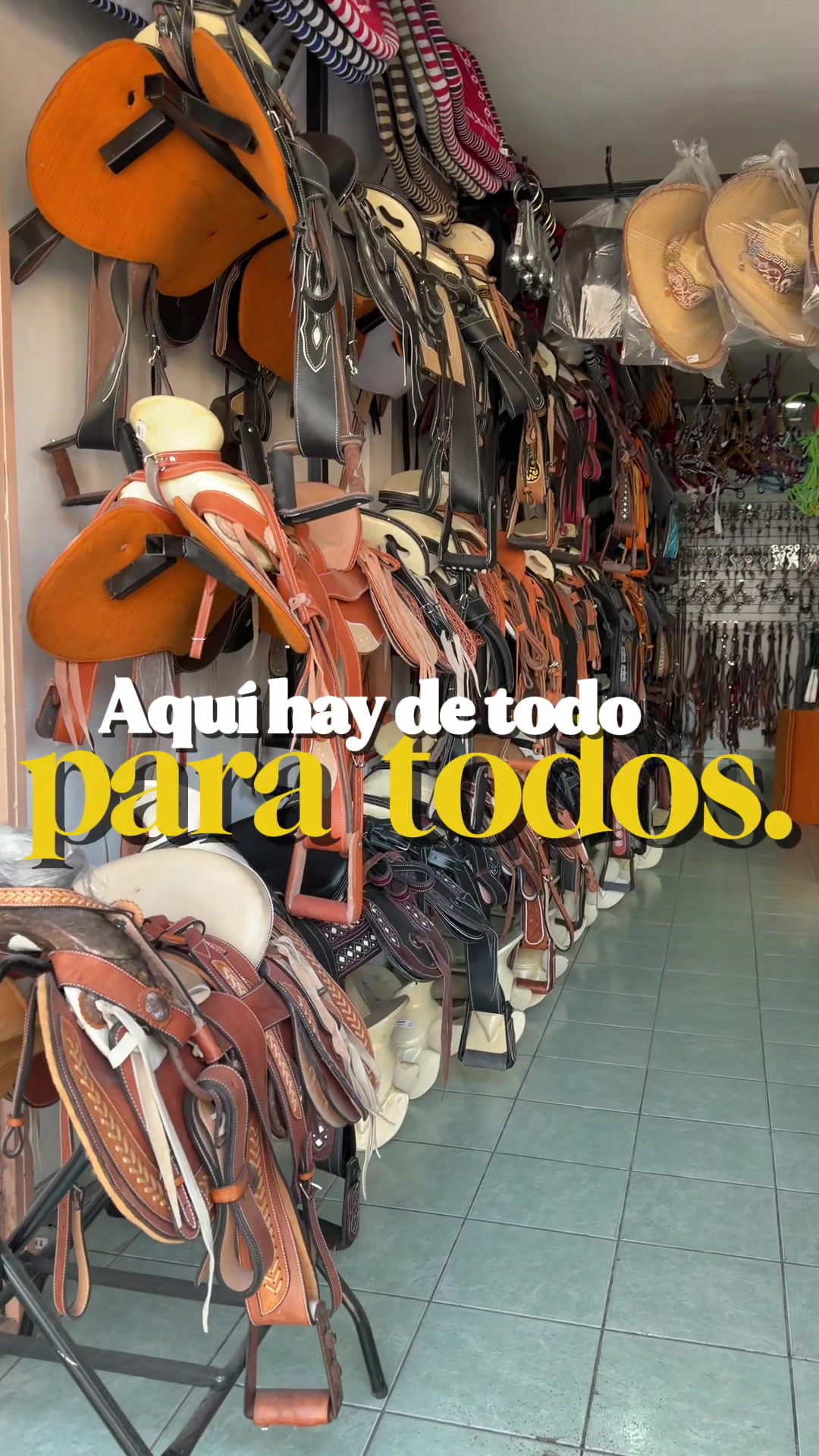 @Talabarter&iacute;a Az de Oro