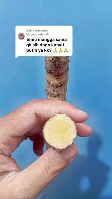 @mama_DanendraStore
