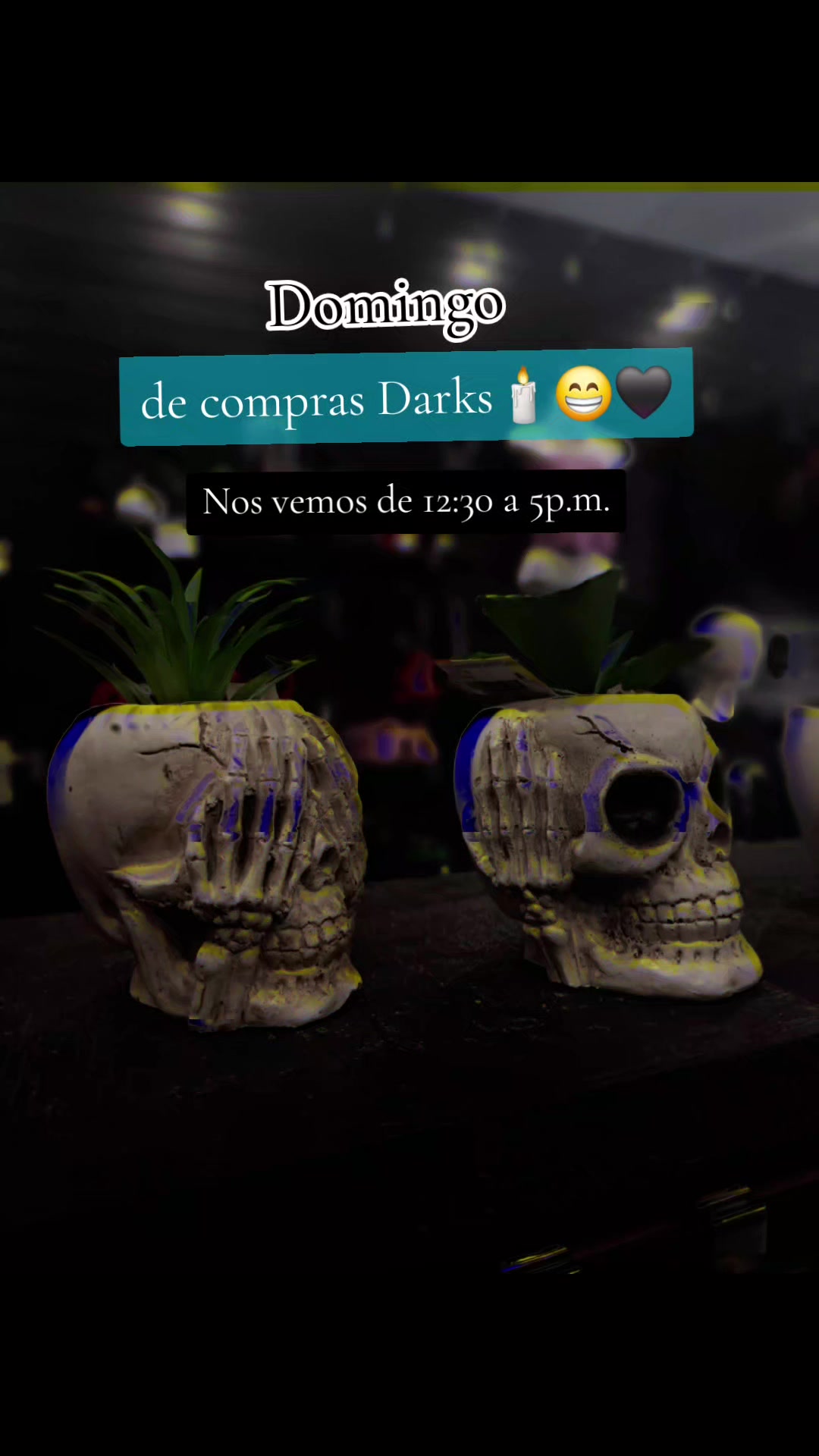 @Zona De Terror Boutique