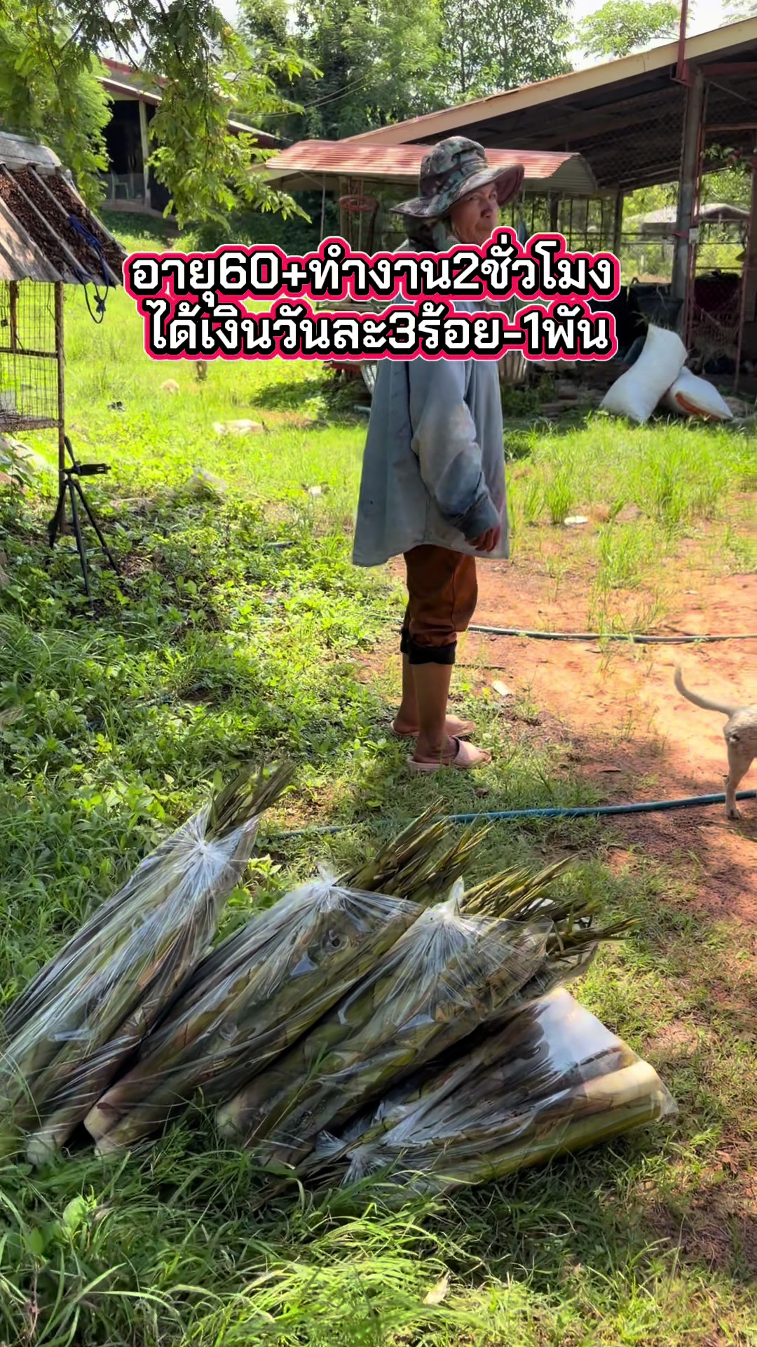 @นัดดาชอป