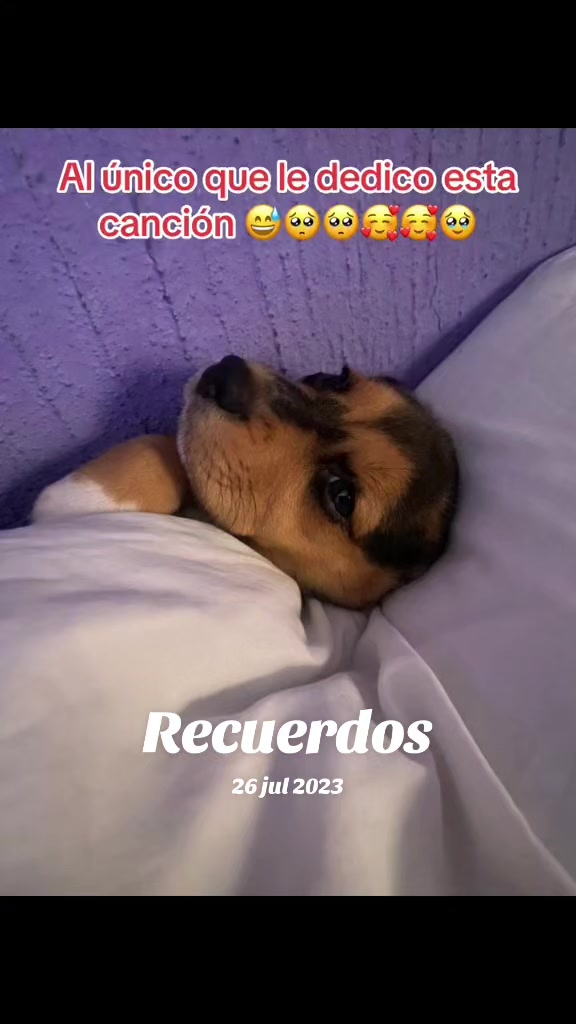 @💚FLAKITA_2 💚