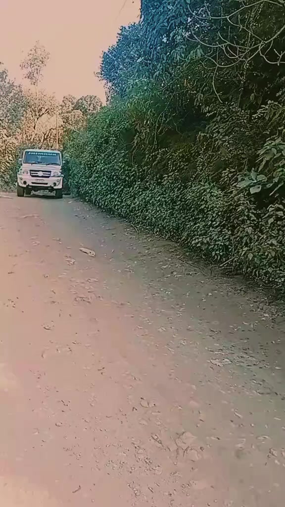 @Sanju Dhakal