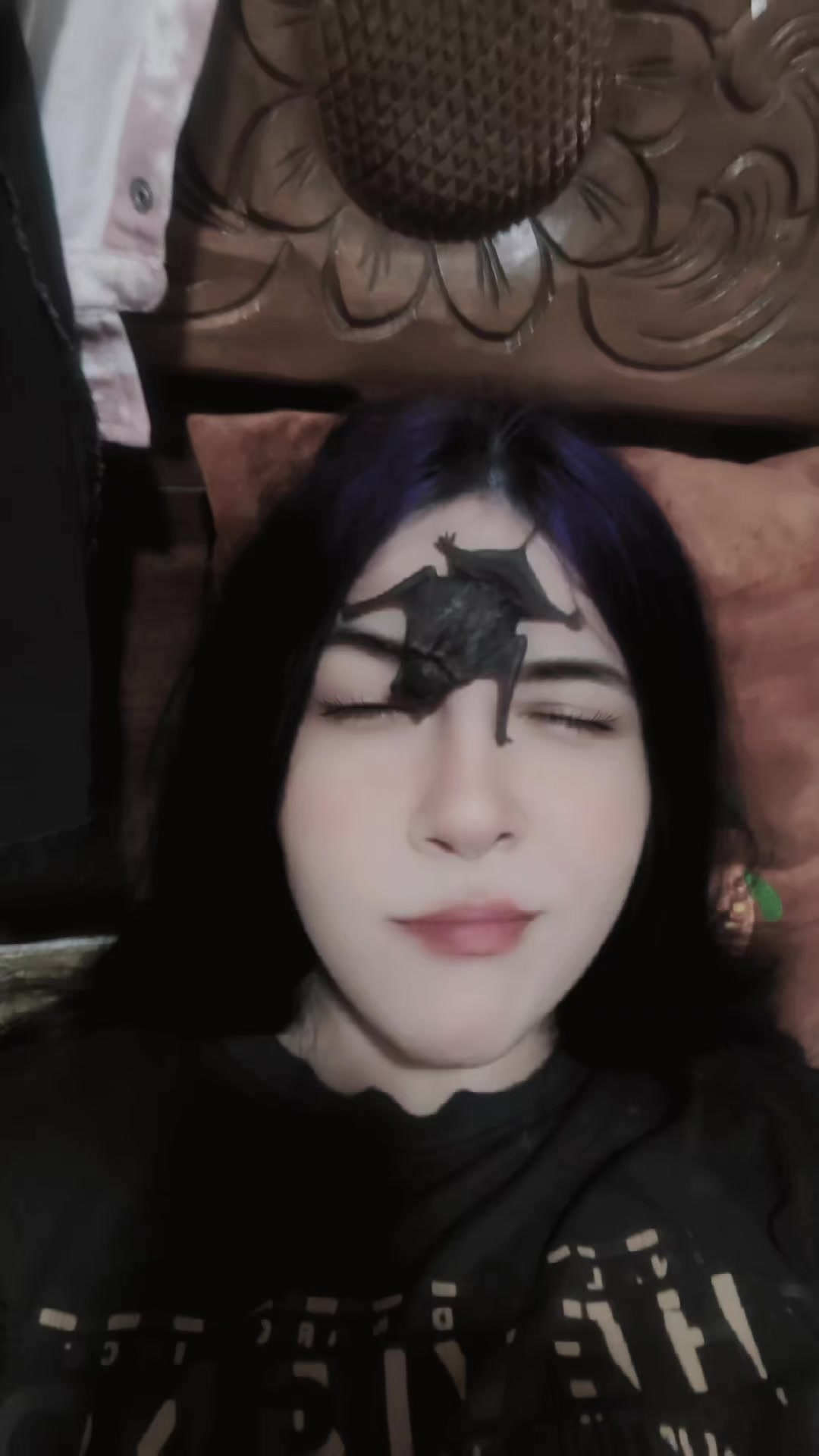 @๐ท๐๐๐๐๐ ๐พ๐๐๐๐๐๐๐r