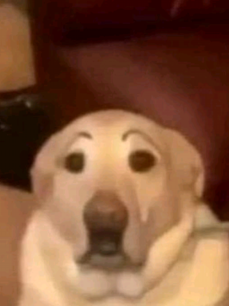 @⋆𝓥𝓮𝓻𝓲𝓽𝓸 ⋆