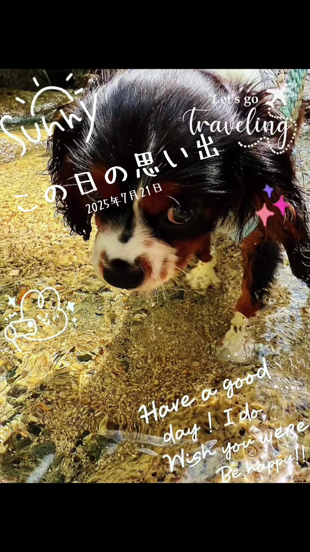 @じゃんけんぽん太🇬🇧🐶🇺🇸💎