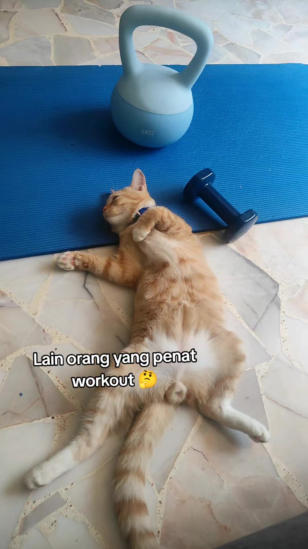 @Sasa Shasa