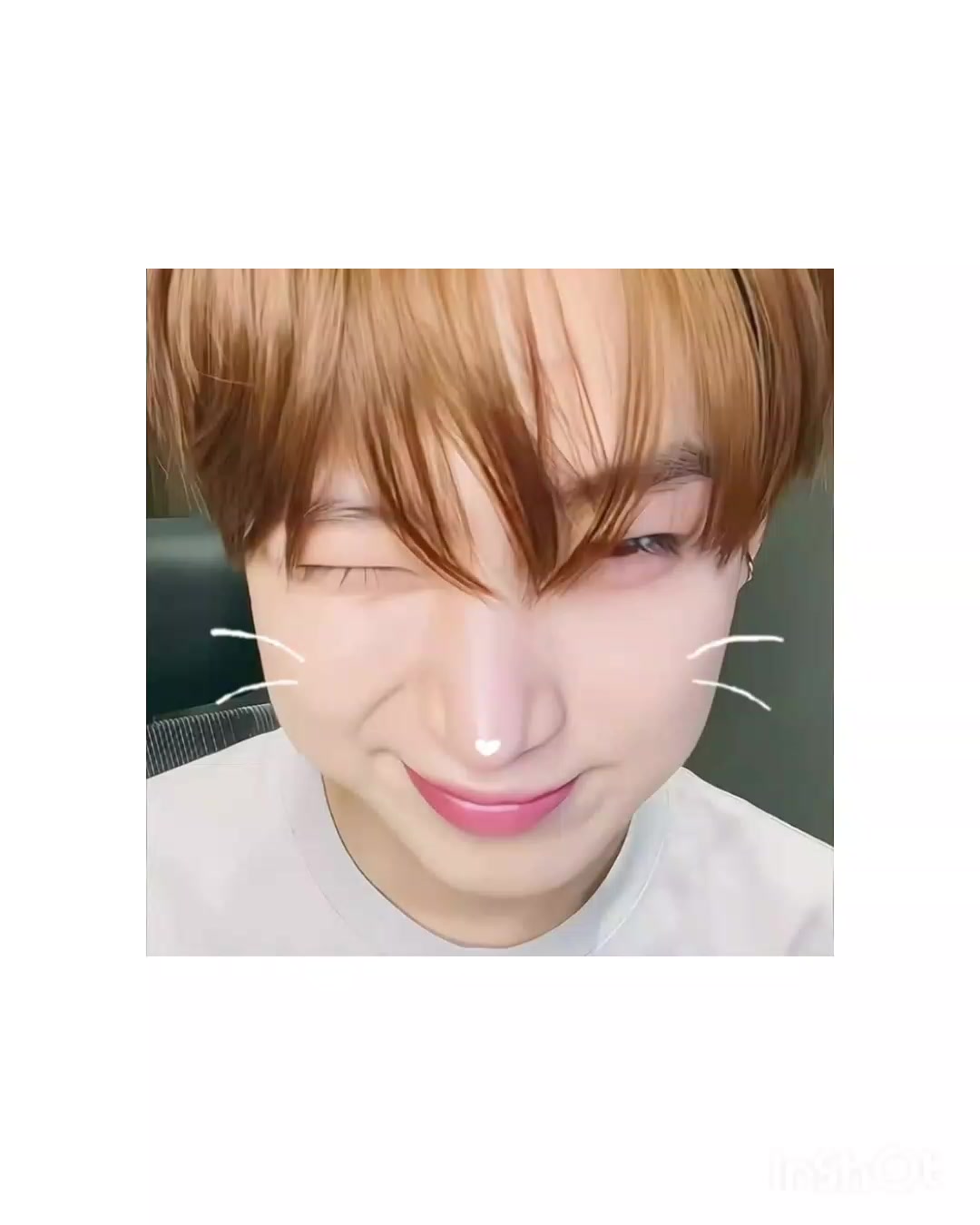 @≽^• ˕ • ྀི≼