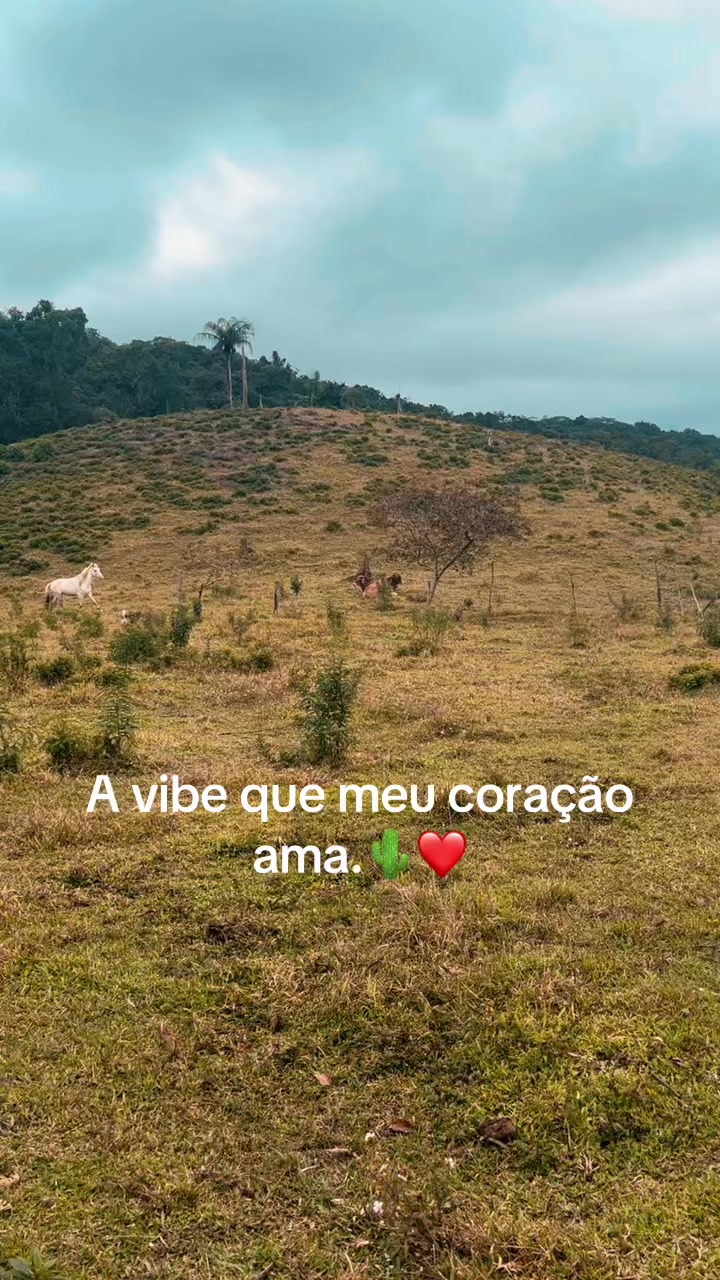 @_pequena10