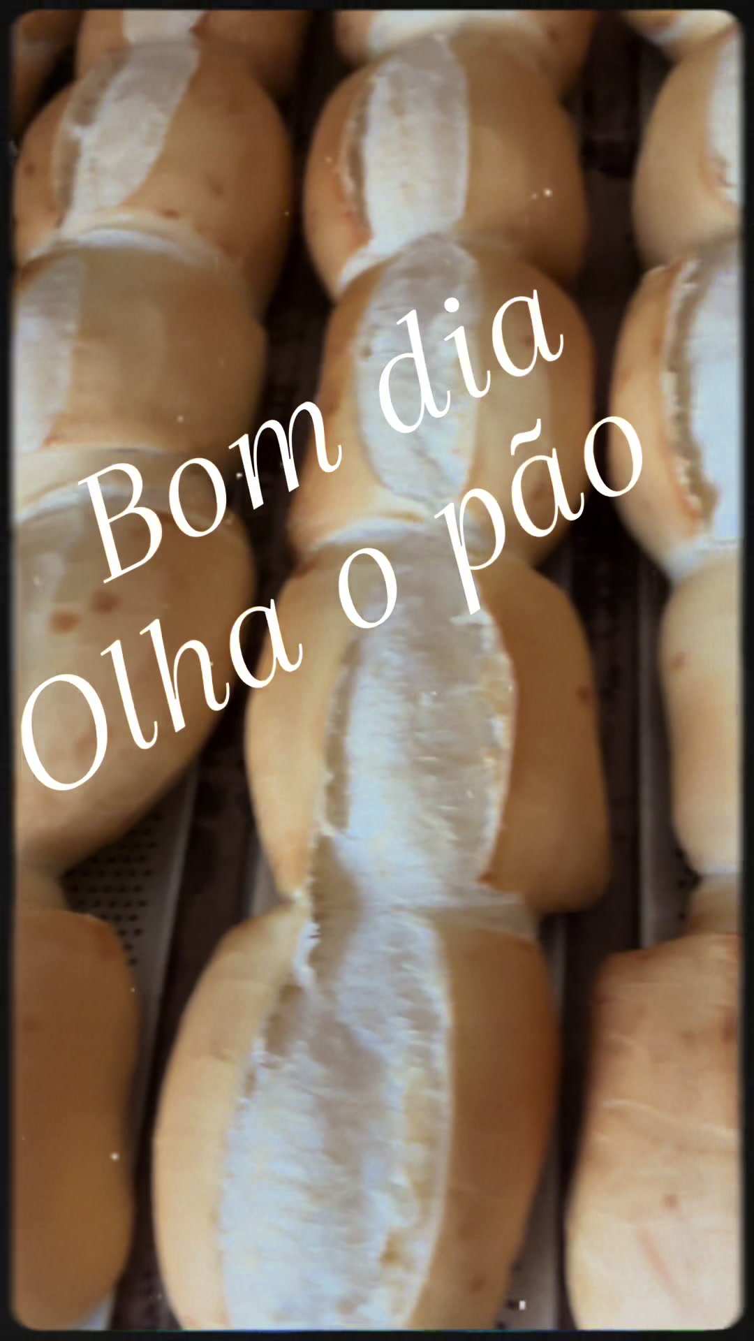 @Raul Silva