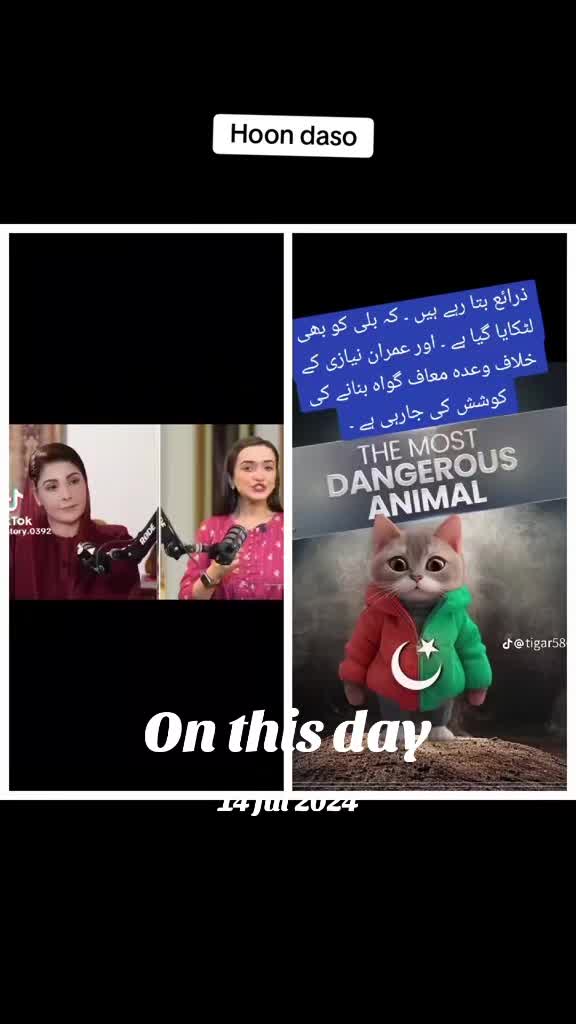 @zahidmahmood0152