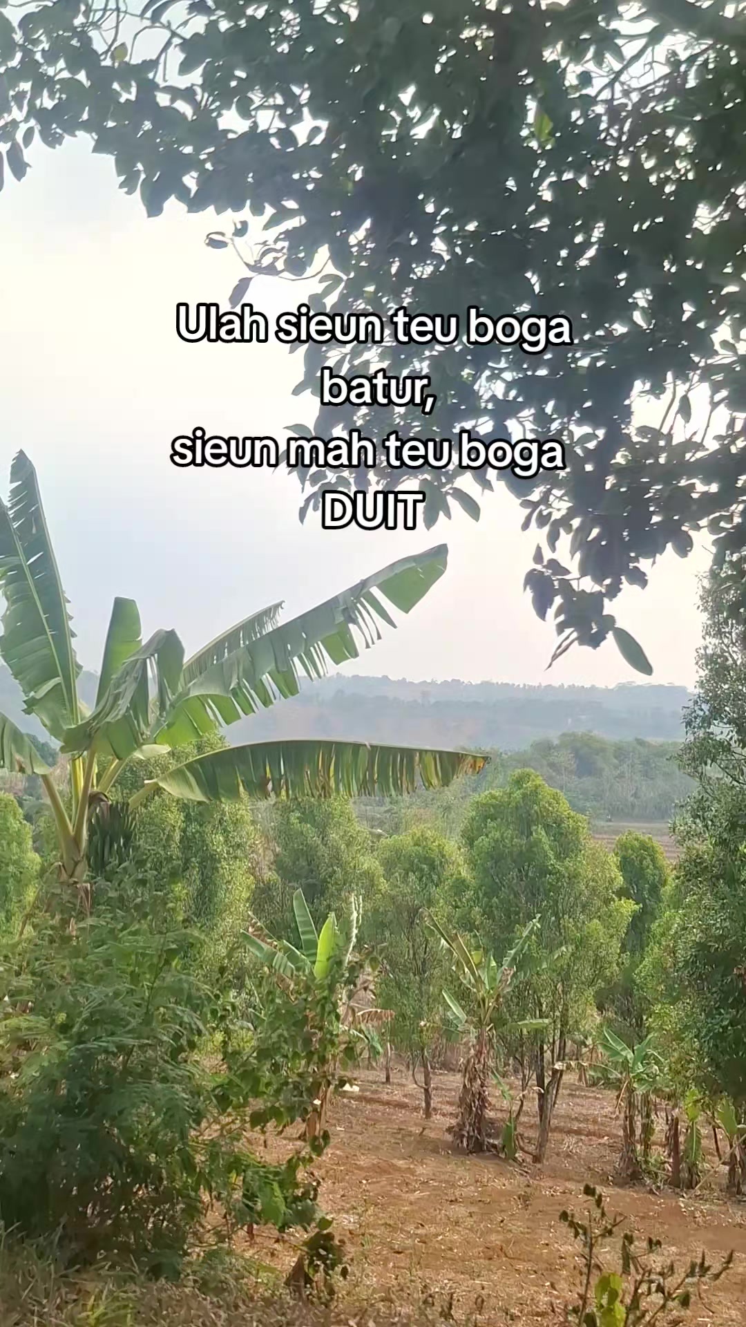 @HoneyAja🌺