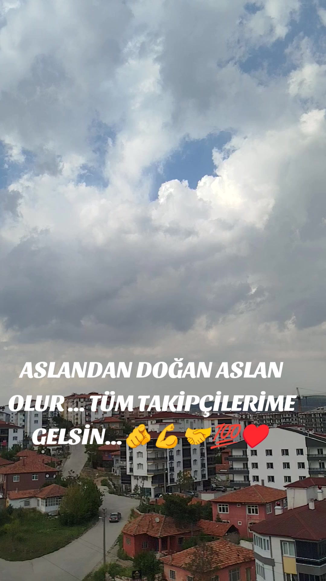 @71_06