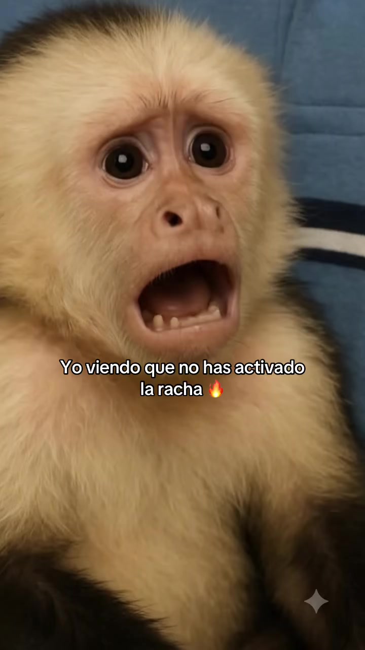 @RabPesito 🔥
