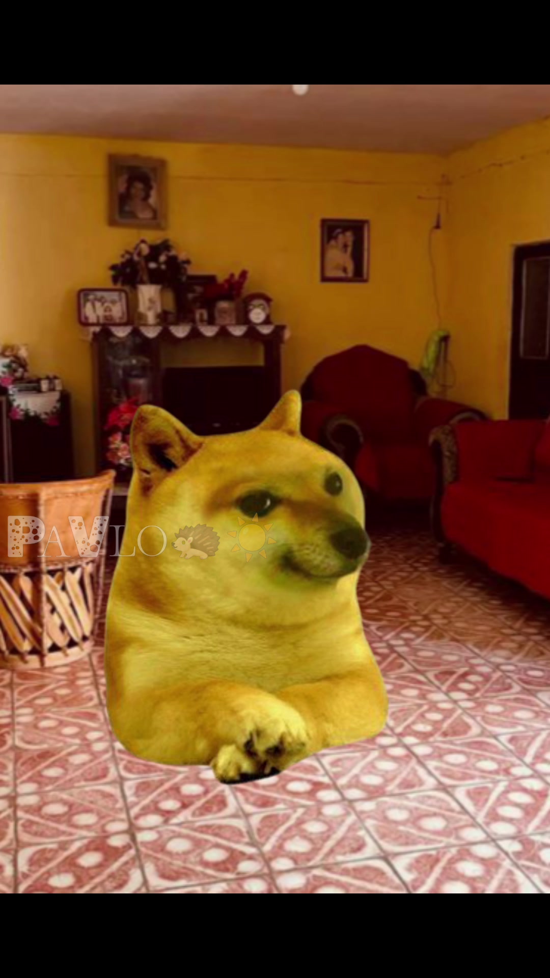 @PaVlo🦔☀️&reg;