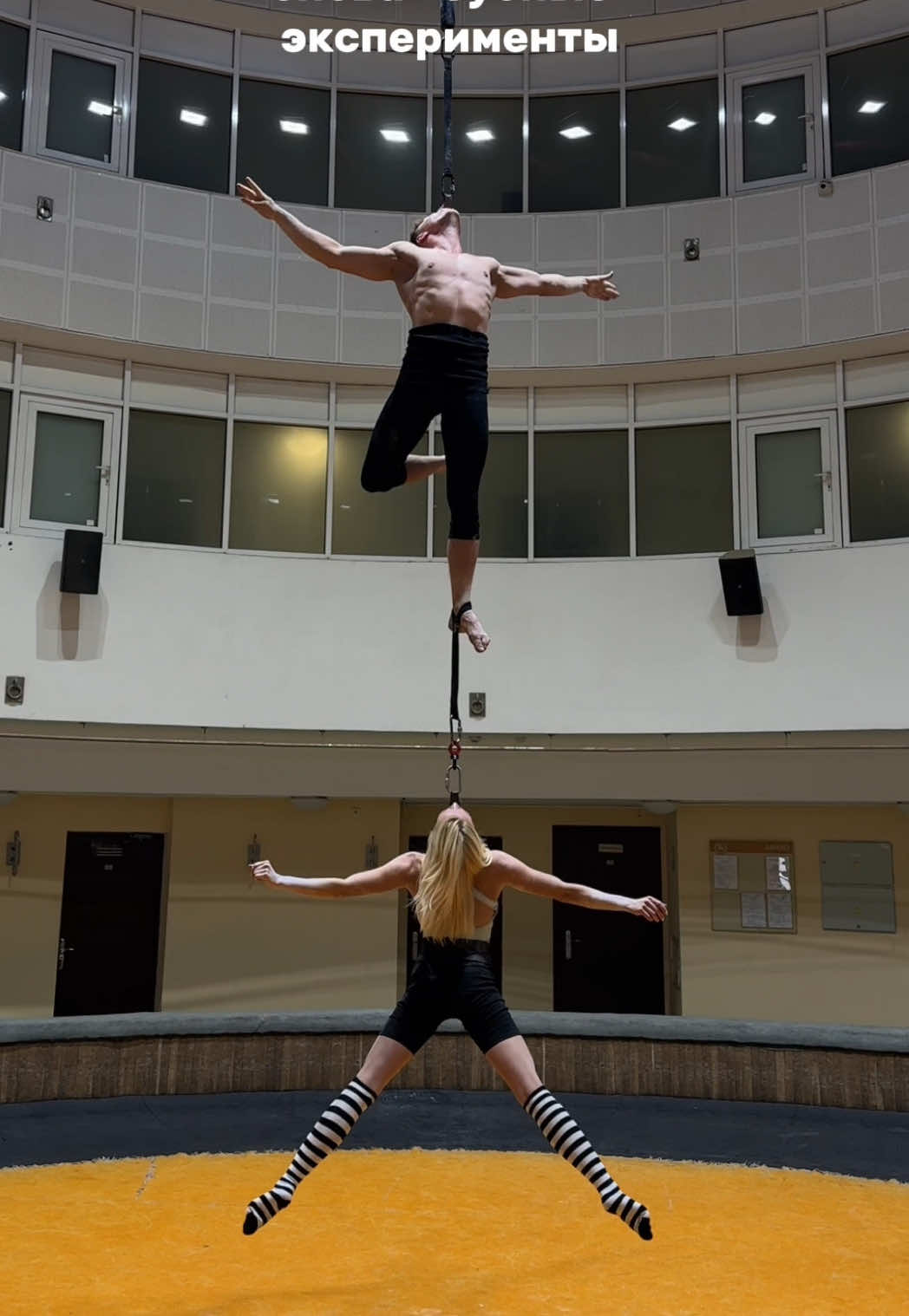 @elzel_circus