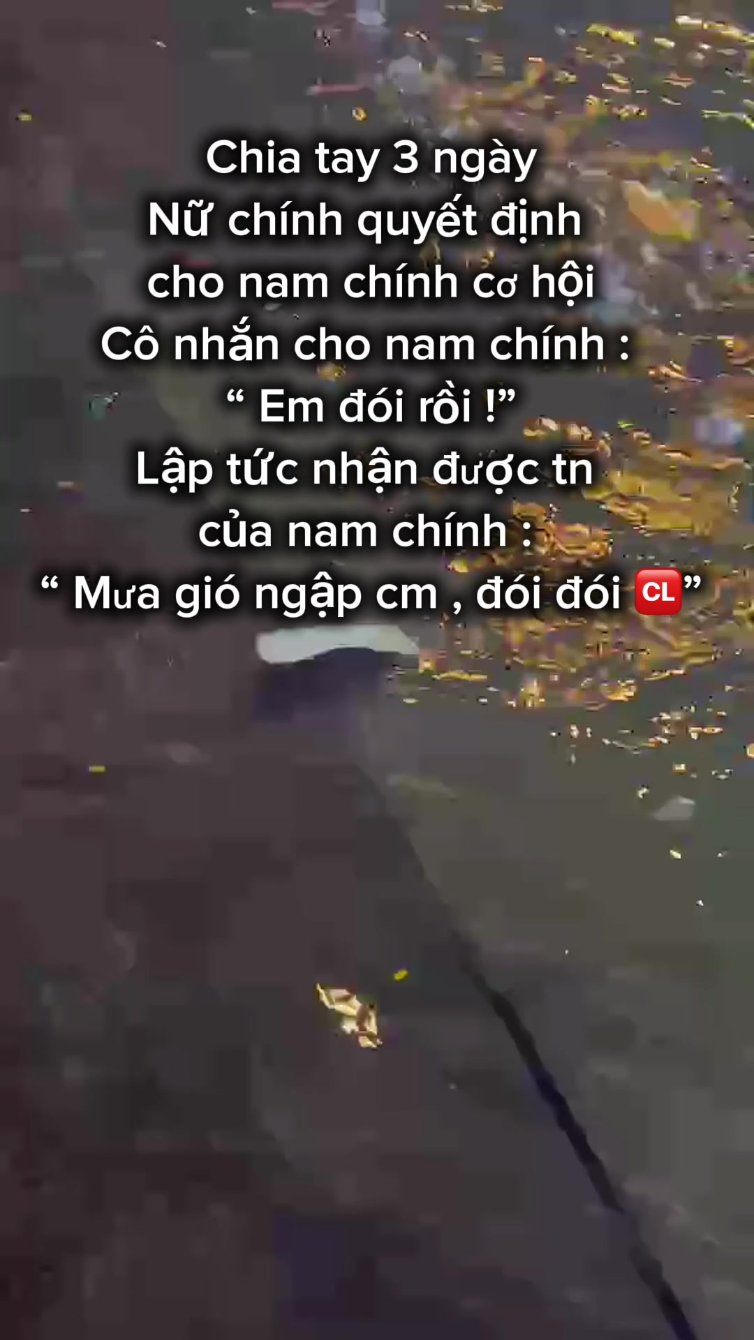 @SUNNY (B&Agrave; C&Ocirc; MIỀN T&Acirc;Y)