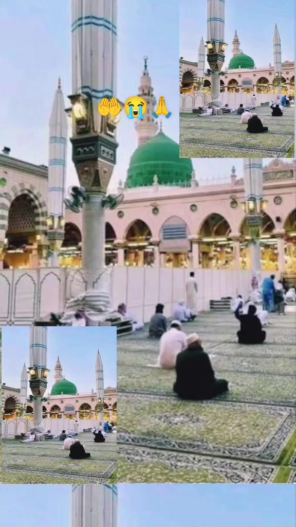 @☘ ꧁✯❈𝔸𝕪𝕖𝕤𝕙𝕒S H A H ❈✯꧂꧁༒