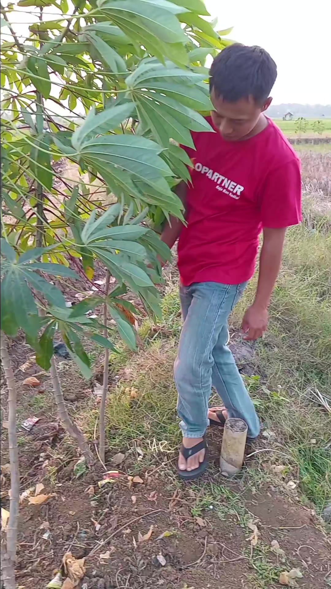 @ArifKingkong_