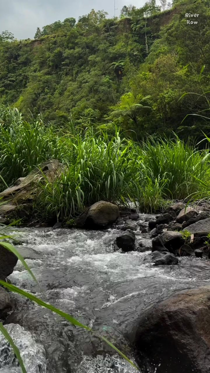 @River Flow