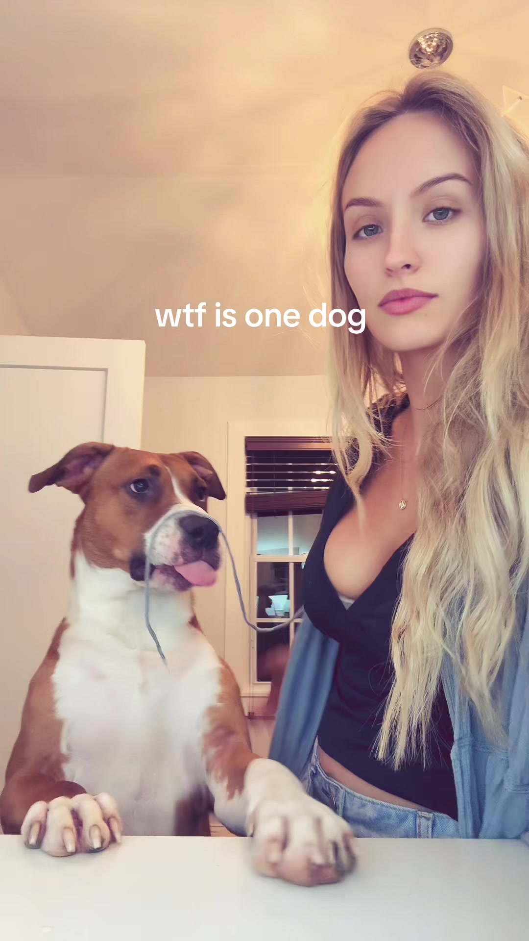@Mia