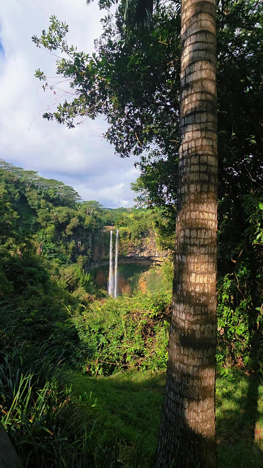 @Solo🇲🇺 🦤 🇲🇺