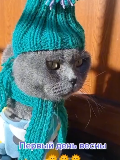 @БУЧ211