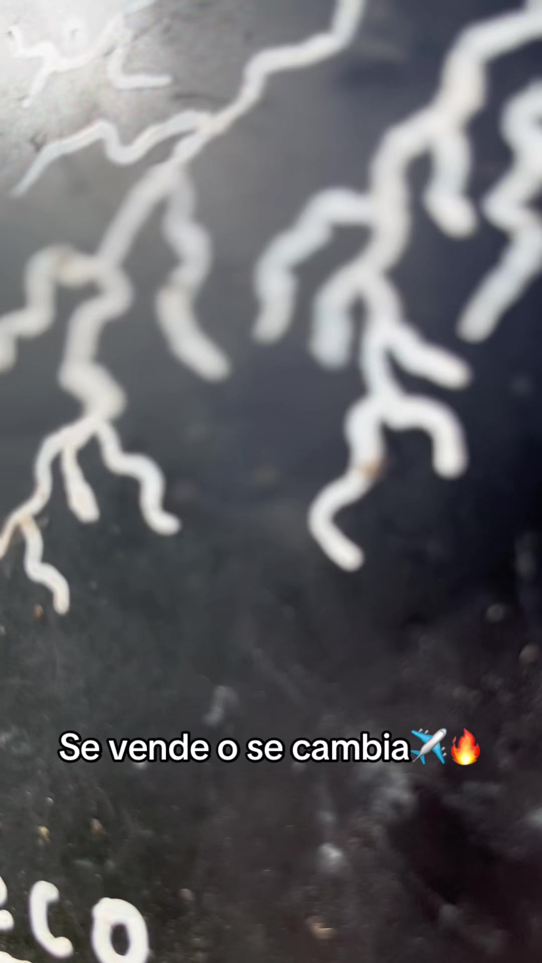 @Pineco  Racing🥷🏼🔥🙂&zwj;↕️