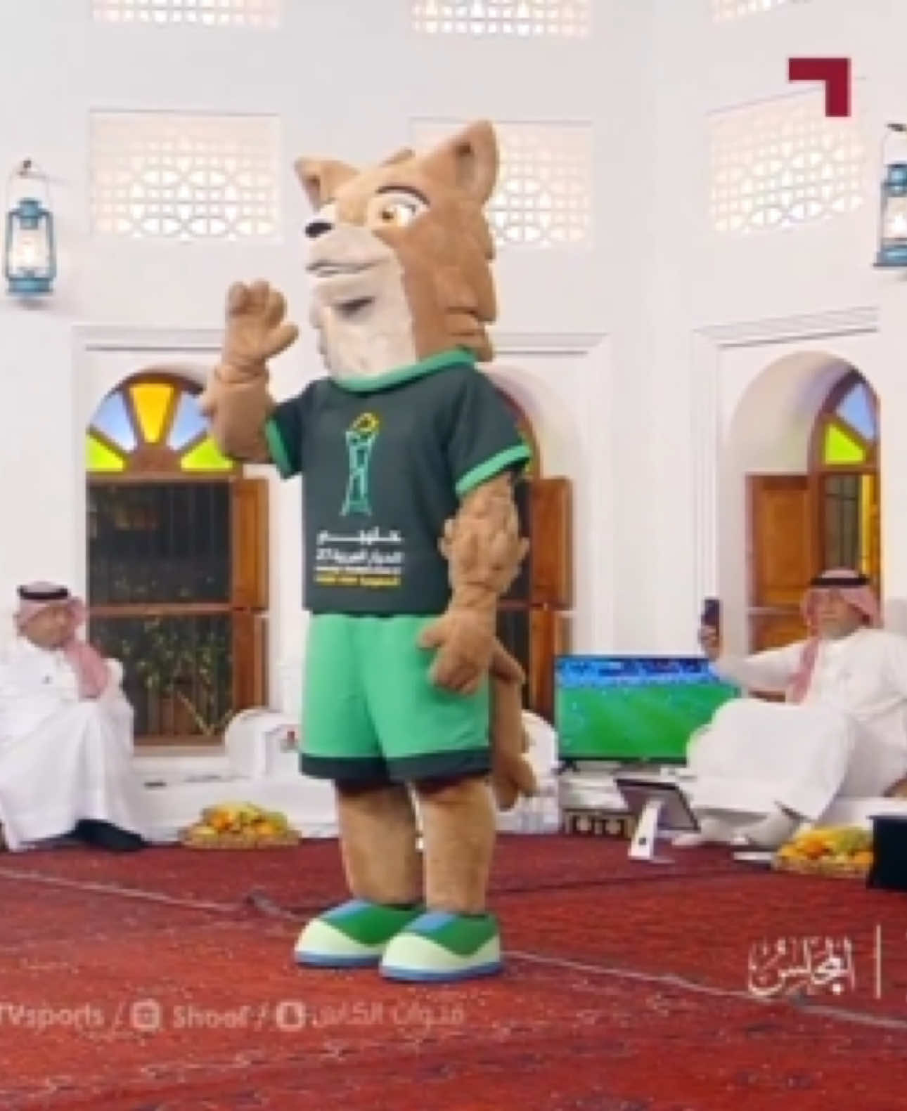@قنوات الكأس