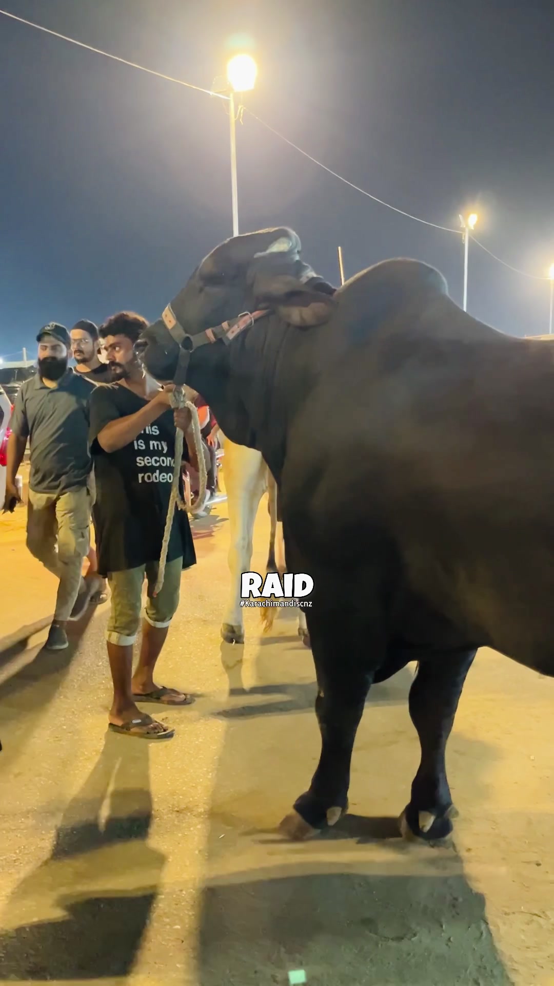 @Raid by Karachi Mandi Scnz