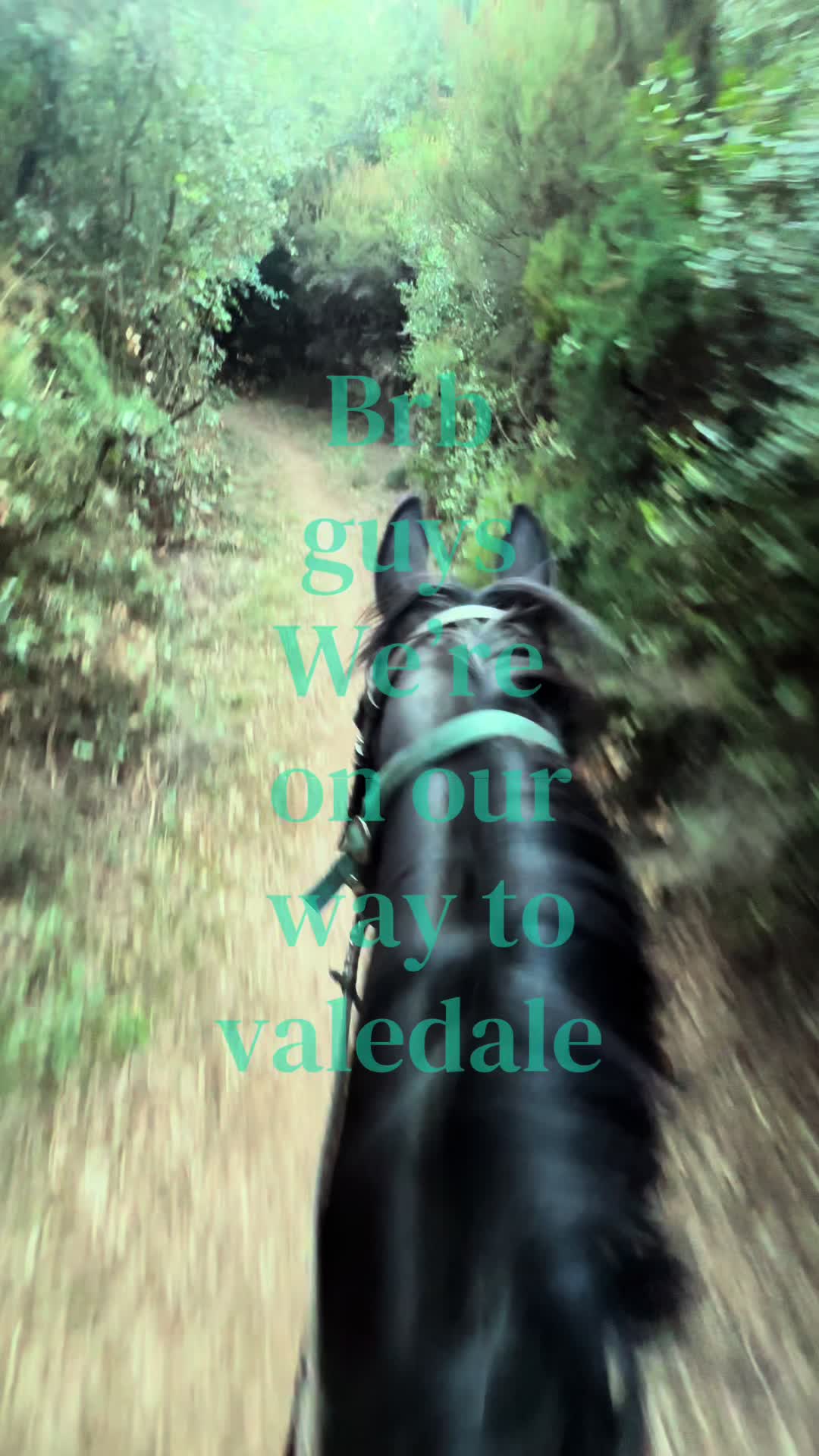 @69