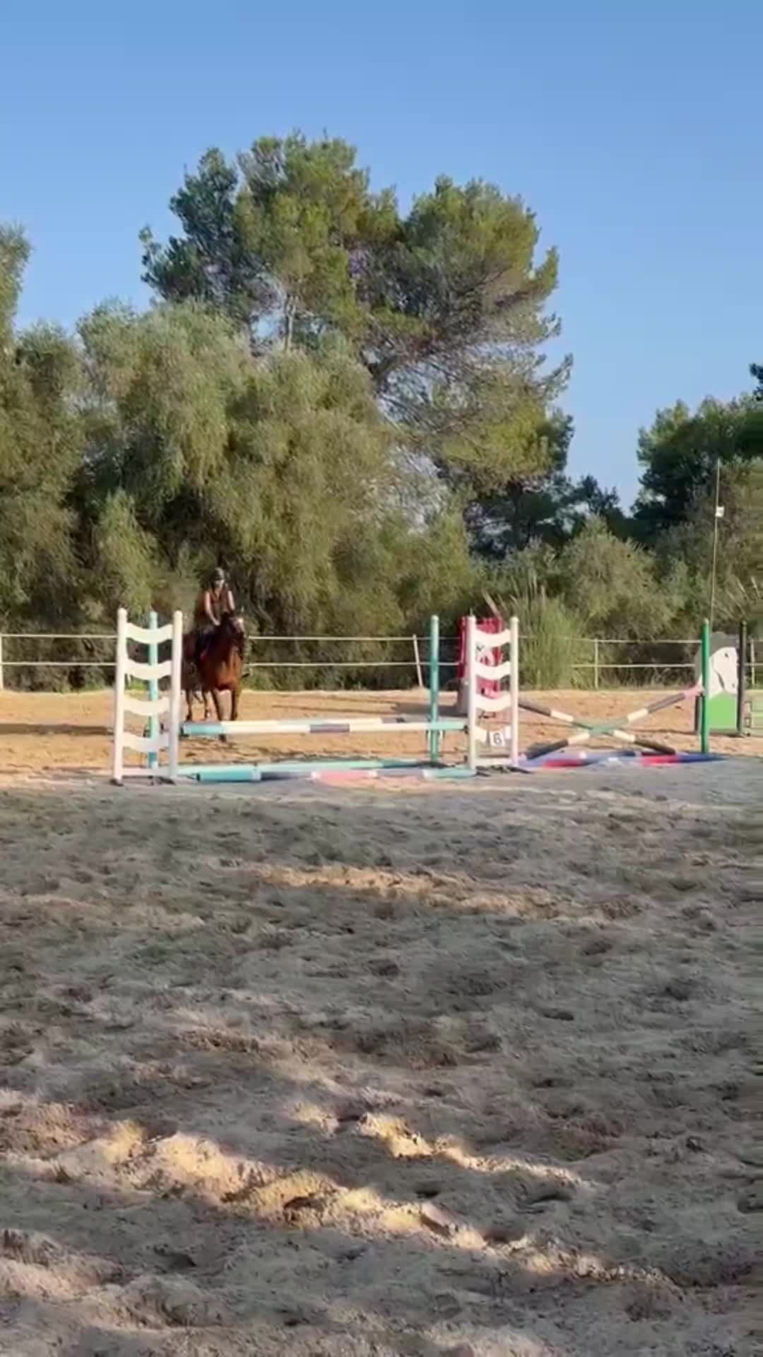 @haras de castille