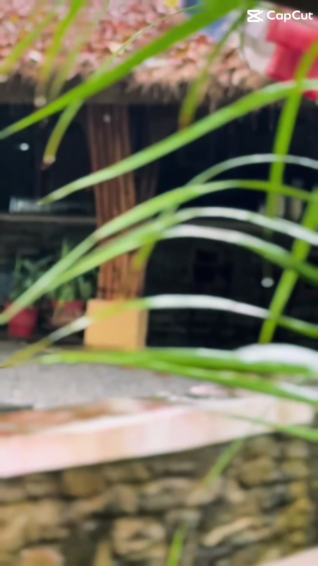 @anupkarki141