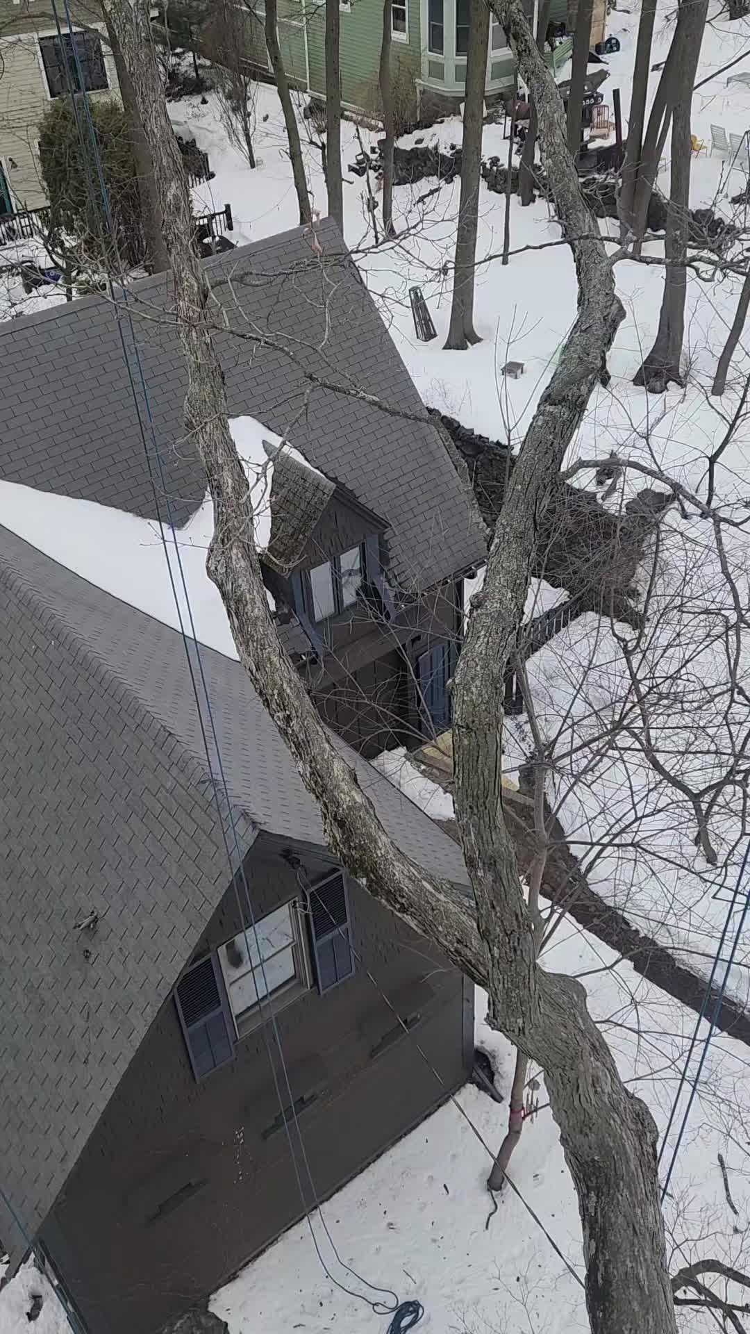 @alexanderofthewoods