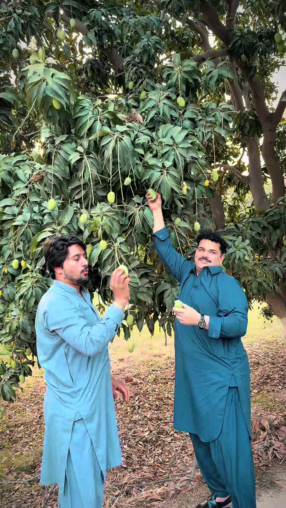 @ashiqahmed