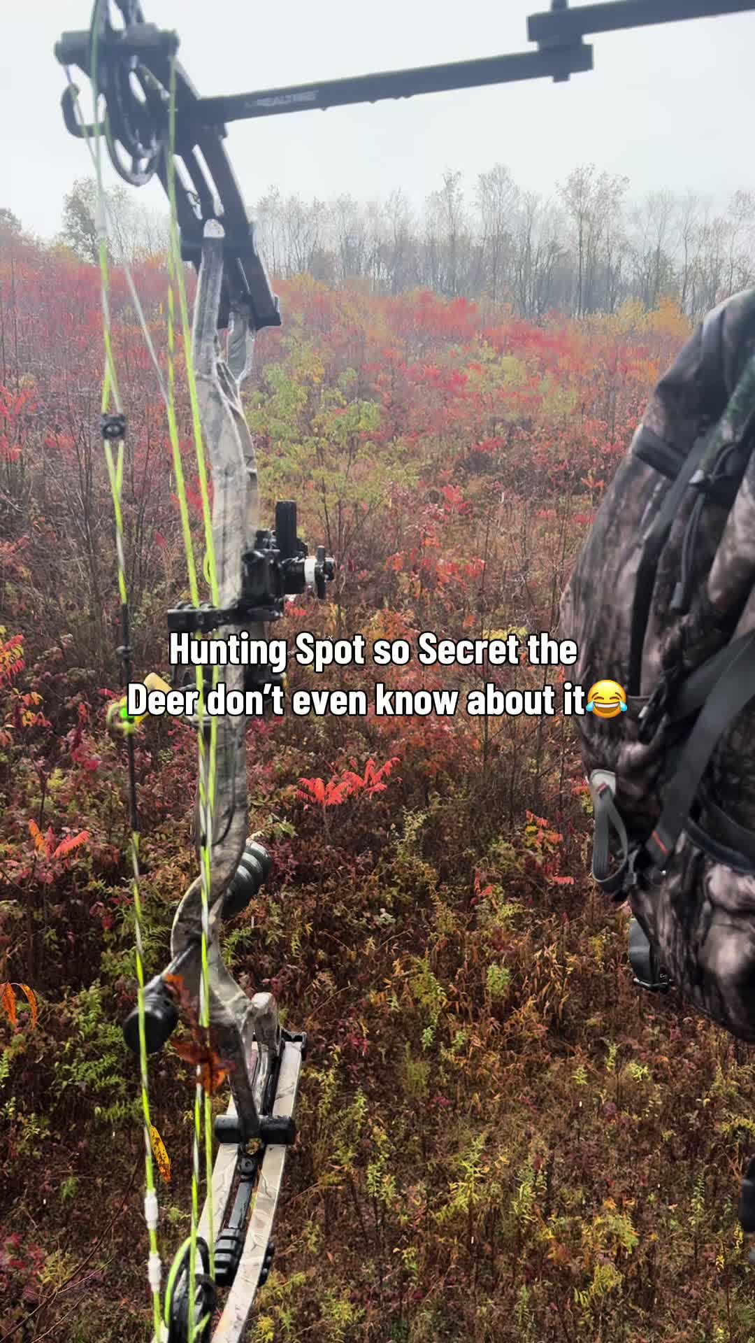 @Mellott Outdoors