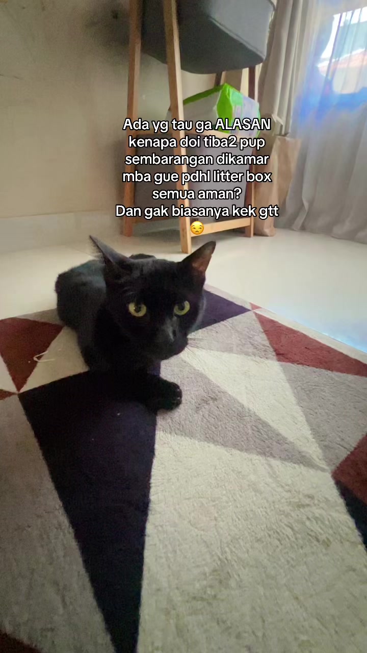 @Haqhaqcatsnfams
