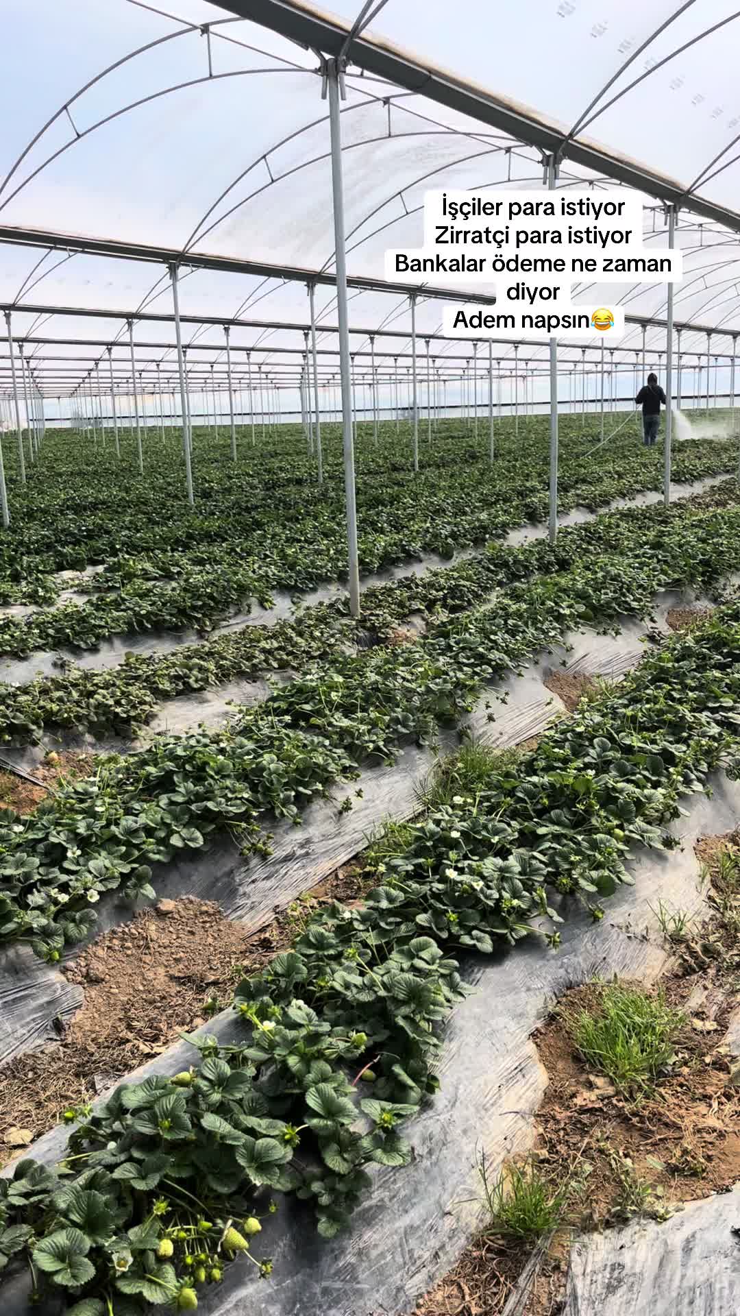@ADEM &Uuml;NAL 🍓