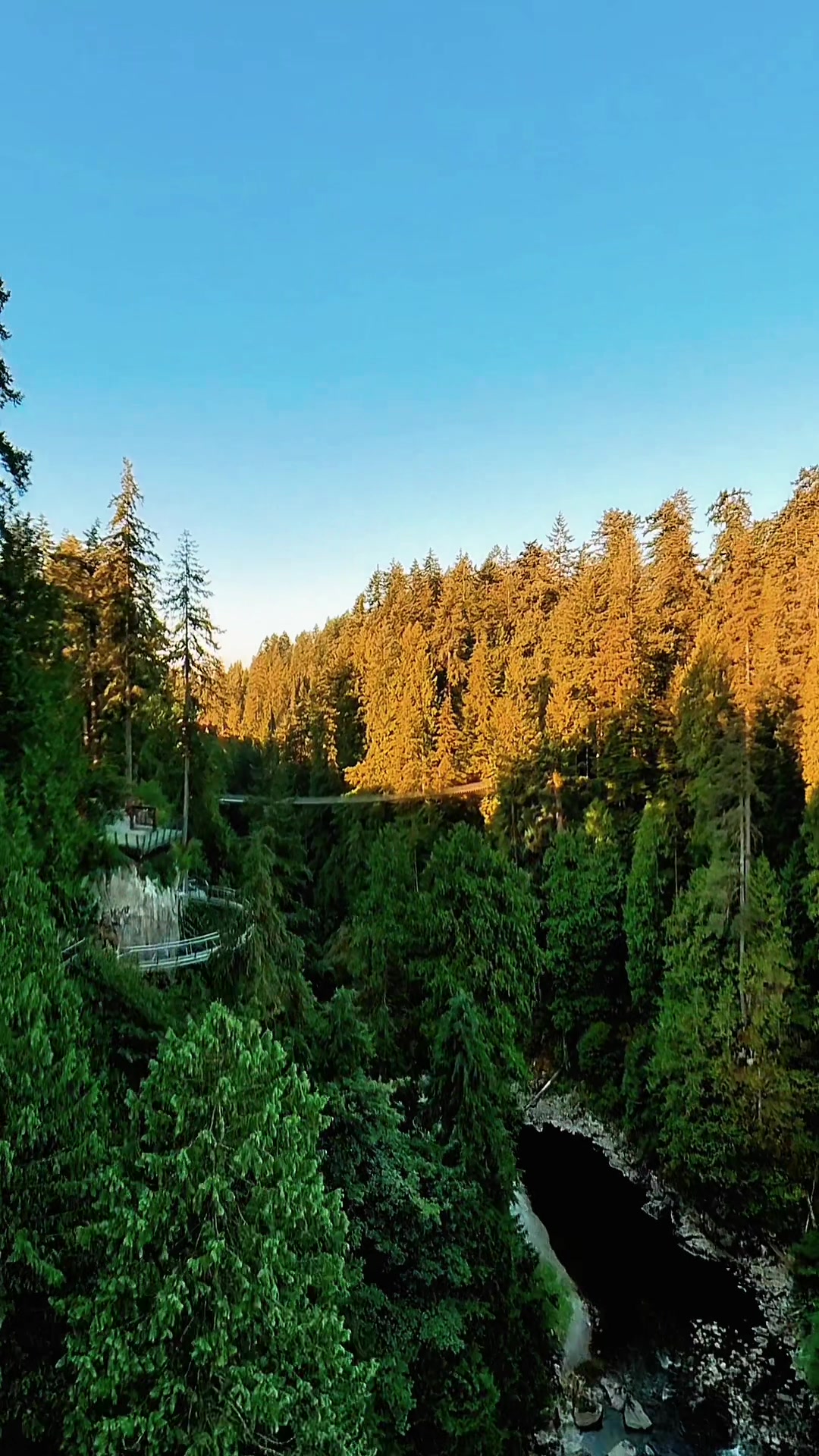 @Capilano Suspension Bridge